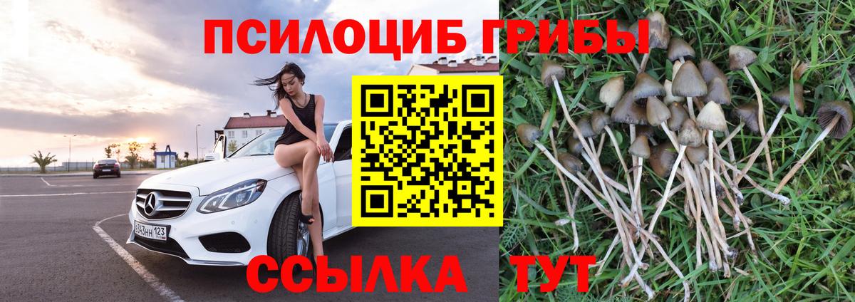 Галлюциногенные грибы GOLDEN TEACHER Старая Русса