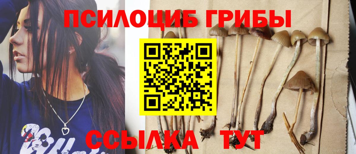 Псилоцибиновые грибы Magic Shrooms  Псилоцибиновые грибы ЛСД  Вход с VPN  Старая Русса 